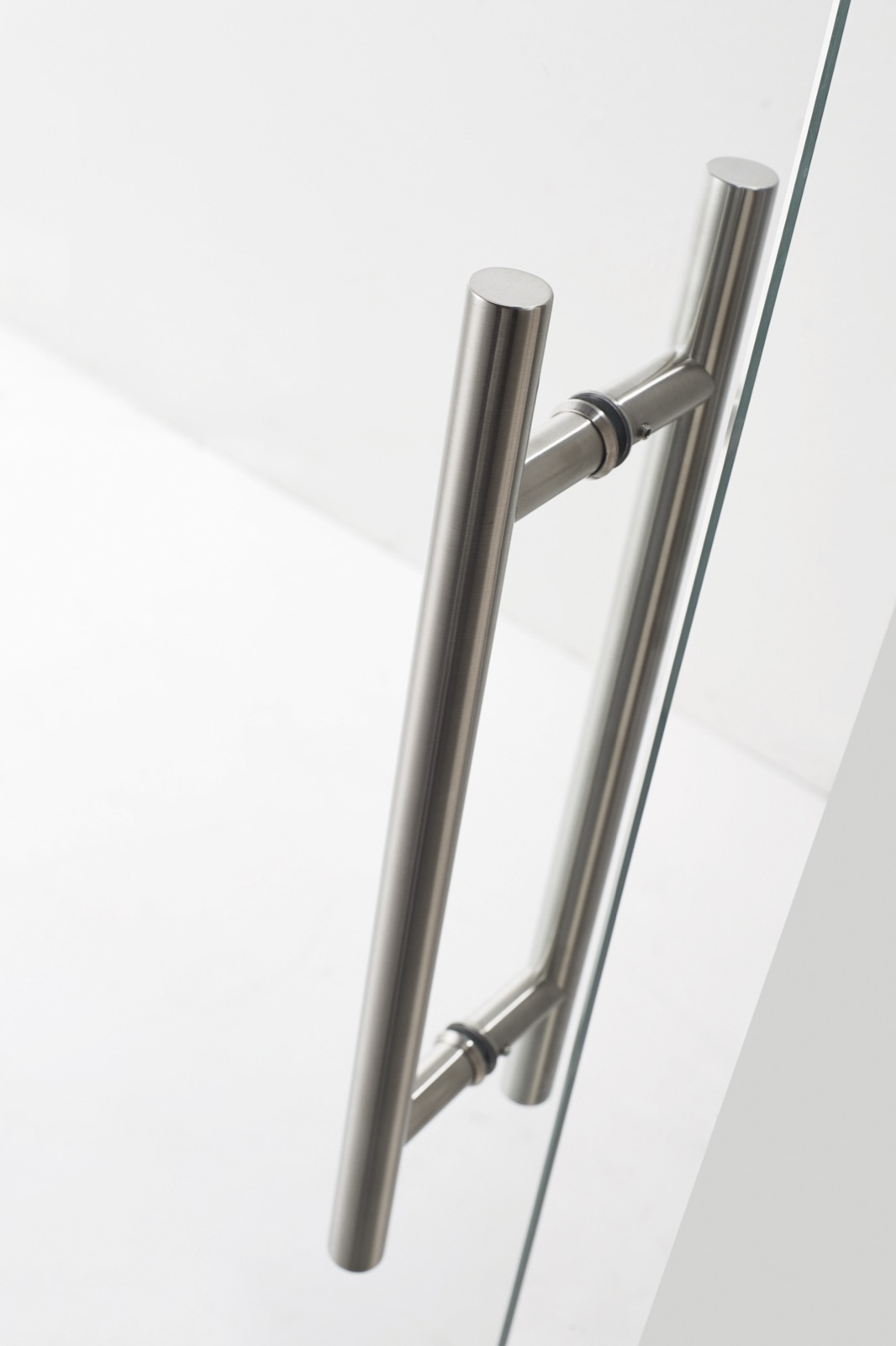 DS21 Series shower door